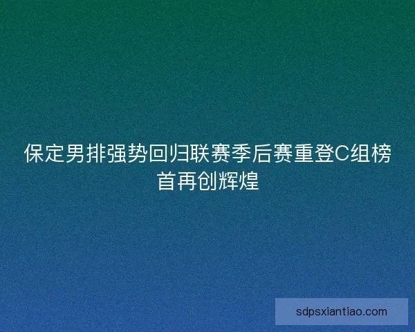 保定男排强势回归联赛季后赛重登C组榜首再创辉煌 保定男排强势回归联赛季后赛重登C组榜首再创辉煌