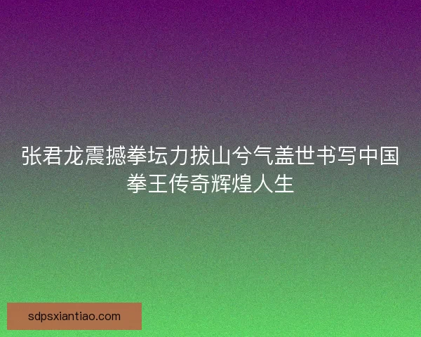 张君龙震撼拳坛力拔山兮气盖世书写中国拳王传奇辉煌人生 张君龙震撼拳坛力拔山兮气盖世书写中国拳王传奇辉煌人生